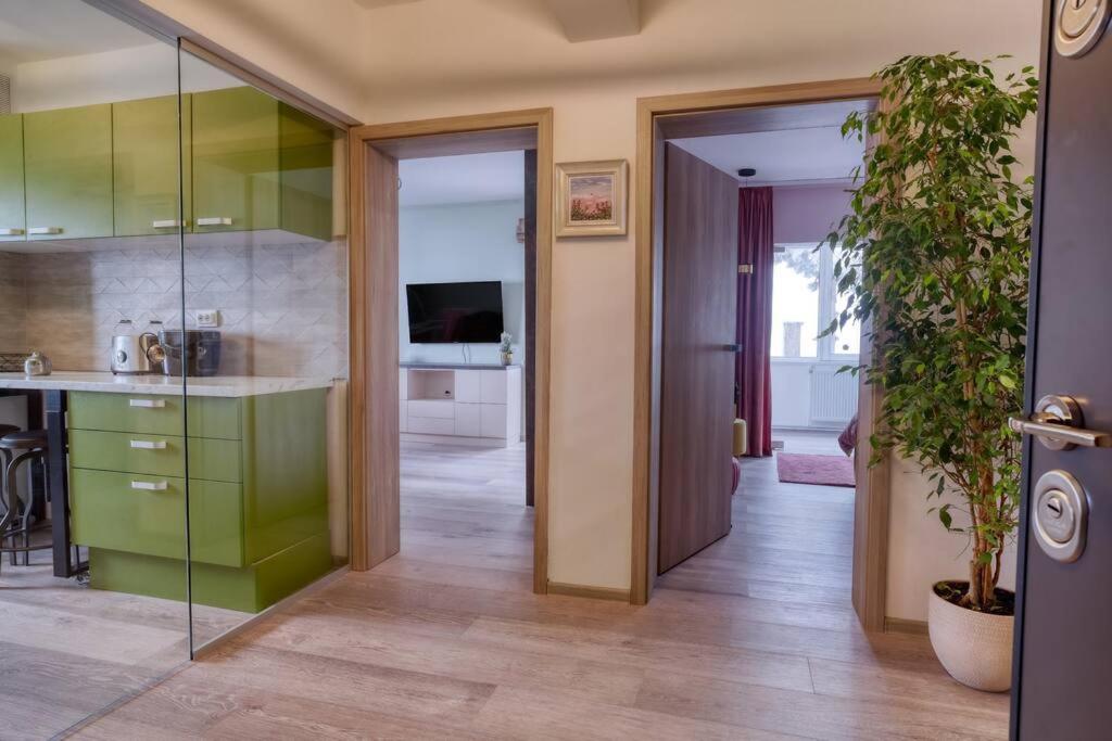 Central Luxury Apartment With City View Brasov Exterior photo