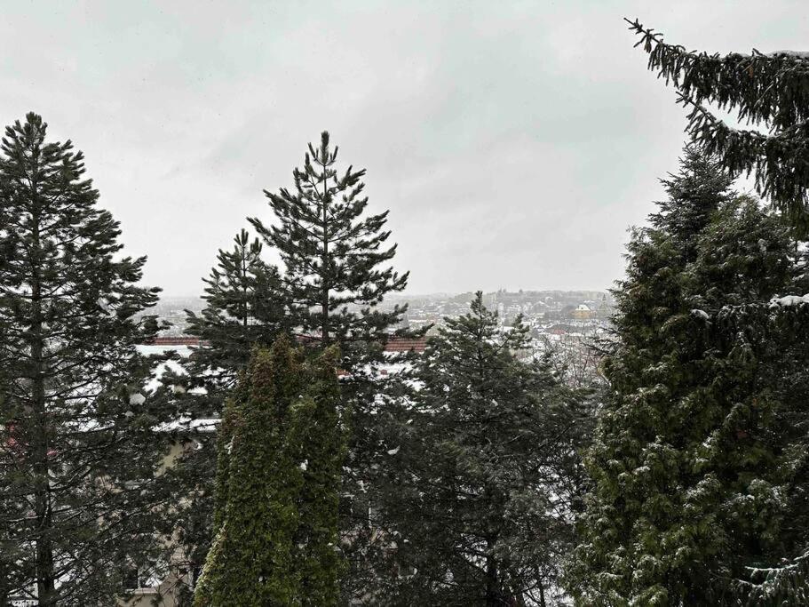 Central Luxury Apartment With City View Brasov Exterior photo