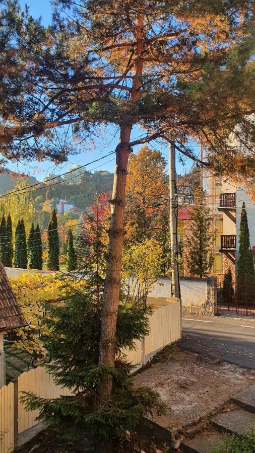 Central Luxury Apartment With City View Brasov Exterior photo