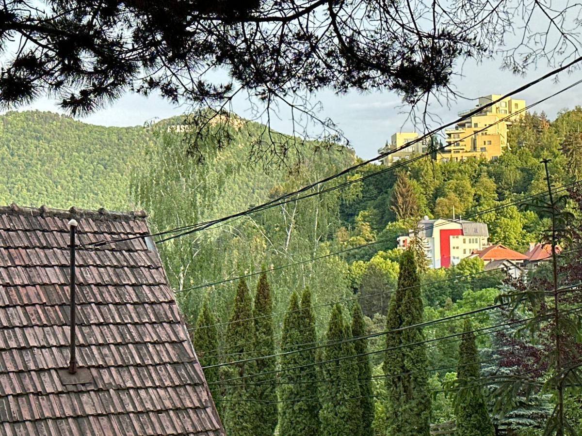 Central Luxury Apartment With City View Brasov Exterior photo